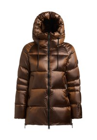 Brūna pūķa jaka ar augstu apkakli un pievienotu kapuci. Raksturīga spīdīga virsma, šūta ar kvadrātu rakstu un melnas rāvējslēdzēja aizdares.