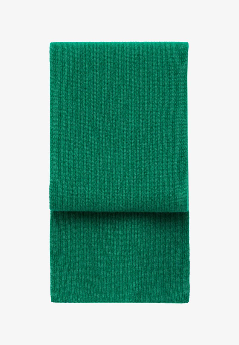 Écharpe en tricot verte, texture côtelée, pliée en deux, forme rectangulaire, matériau doux, sans motifs ni détails matériels visibles.