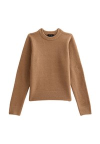 Brown knit sweater with a crew neckline, long sleeves, and ribbed hem. Features a soft texture and a relaxed fit.