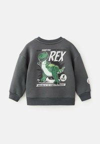 Tmavě šedá mikina s potiskem zeleného karikaturního T-Rexe na přední straně, s textem v bílé, černé a zelené barvě. Žebrované manžety a výstřih.