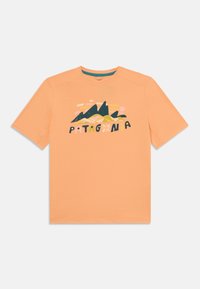 Δεν επιλέχθηκε, fitz roy superbloom/heirloom peach