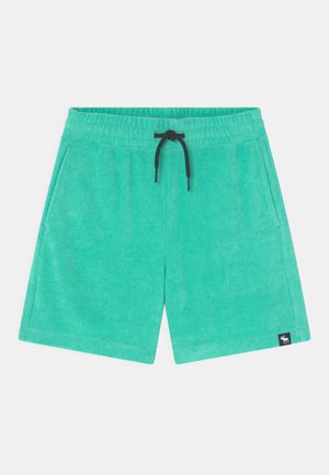 TOWEL UTILITY - Szorty - green