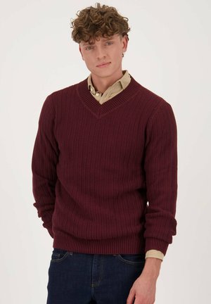 BEAGLE - Pullover - darkporto