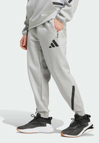 adidas Sportswear Pantaloni sportivi - grey