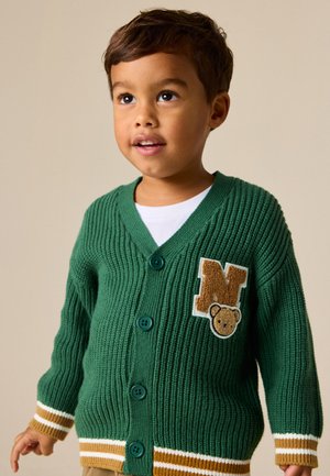 Jonge jongen draagt een groene gebreide vest met knopen en een patch met de letter "N" en een beer op de borst, kijkt iets omhoog.