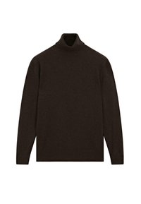 SOFT TURTLENECK WITH LONG SLEEVE - Trui - mottled dark brown