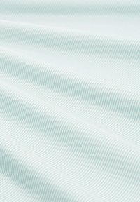TOM TAILOR DENIM STRUCTURED STRIPE - Langarmshirt - small mint white stripe
