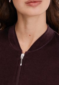 Bordeaux kleurige zip-up jas met een ronde kraag, gladde textuur en zilveren rits. Close-up van het nekgebied en de ritsdetails.