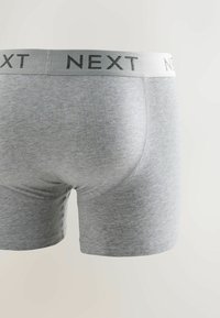 Boxeri scurți pentru bărbați, ajustați, în gri, cu un brâu gri deschis pe care este inscripționat numele brandului "NEXT" cu litere negre.