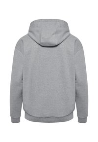 Hellgrauer Kapuzenpullover von hinten mit langen Ärmeln und gerippten Bündchen und Saum.