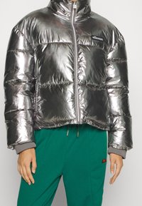Metalická stříbrná péřová bunda s krátkým střihem, středovým zipem a elastickými manžetami. Na levé straně hrudníku je logo značky.