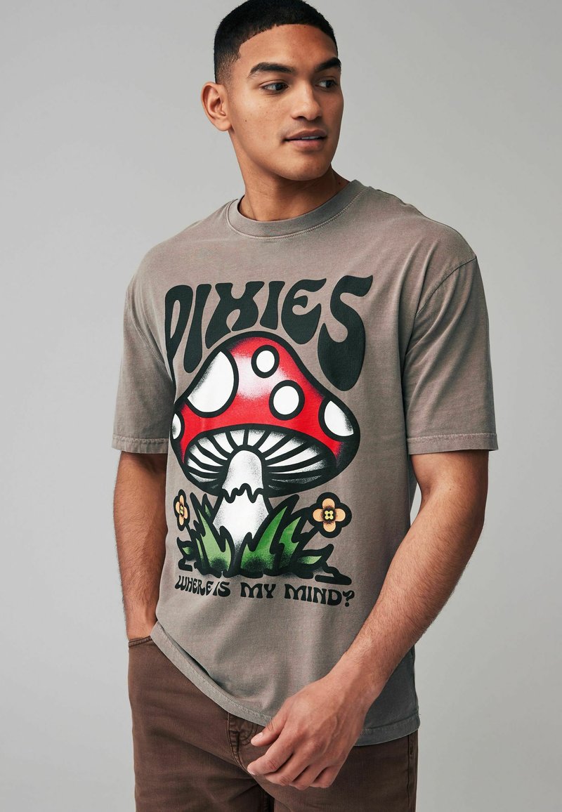 Next LICENSE REGULAR - T-Shirt print - stone wash the pixies