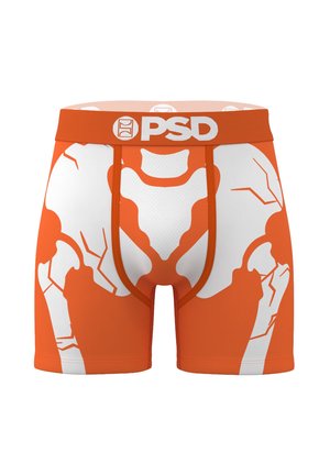 SNAPPED - Boxer Briefs - multi