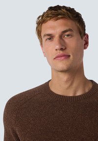 NO EXCESS CREWNECK - Trui - brown