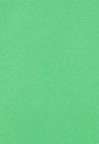 Gina Tricot Petite PELLA HOODIE - Camisola - mint green