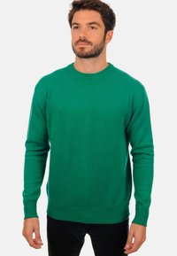 Mahogany NESTOR 4F - Pullover - evergreen