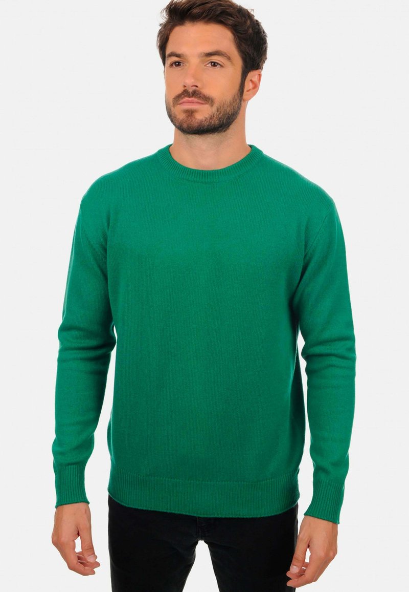 Mahogany NESTOR 4F - Pullover - evergreen