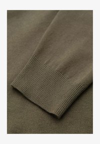 Δεν επιλέχθηκε, olive
