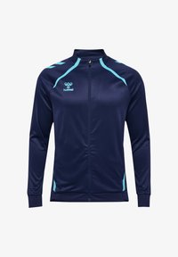 Ikke valgt, marine blue fish