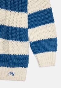 Strickpullover mit dicker blau- und cremefarbener Streifenmusterung, mit gerippten Bündchen und Saum. Auf dem Saum sind die initialen "TNS" in lila gestickt.