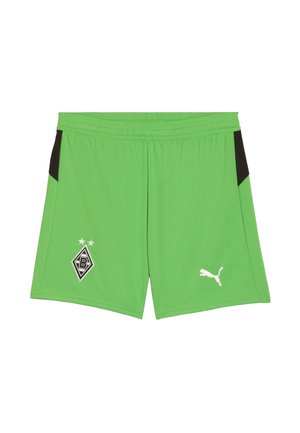 BORUSSIA  - Pantalón corto de deporte - green warm white