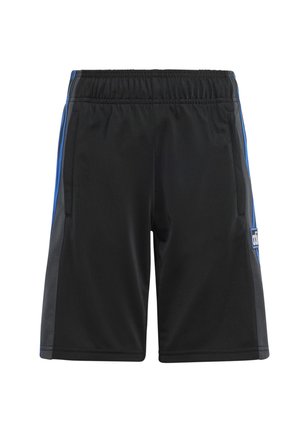 Pantalones cortos deportivos negros con franjas laterales en azul y gris oscuro y cintura elástica, con un pequeño logo rectangular en el lado derecho.