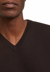 Dunkelbrauner V-Ausschnitt-Pullover aus Strick mit feinem Rippenmuster und eng anliegendem Ausschnitt. Keine sichtbaren Muster oder Verzierungen.