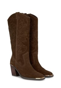 Braune Wildleder-Cowboy-Stiefel mit gesticktem Blumendesign, spitzer Zehenform und einem gestapelten Absatz, der eine goldene Akzentuierung an der Zehenpartie aufweist.