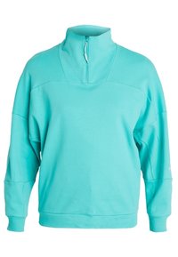 The North Face Sweatshirt - turquoise