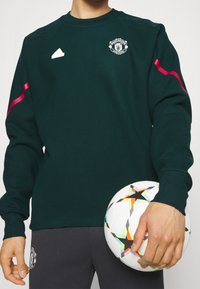 Mörkgrön sweatshirt med rund hals, prydd med en vit logotyp och rosa ränder på ärmarna; kompletterad med en vit fotboll.