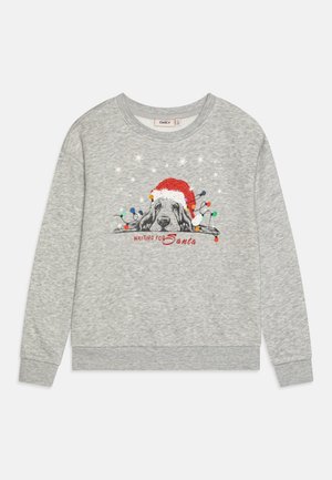 Lysegrå sweater med en hund iført en rød julemandshue, farverige julelys, snefnug og teksten "Venter på julemanden" foran.