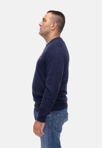 Maglione blu navy realizzato in tessuto morbido, con collo a girocollo e polsini a costine, abbinato a jeans scuri. Vista di profilo laterale.