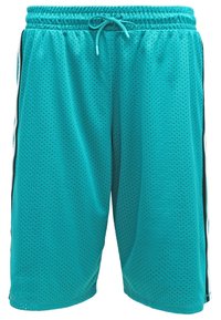 Shorts de sport en maille turquoise avec taille élastique, cordon de serrage et bandes latérales noires et blanches.