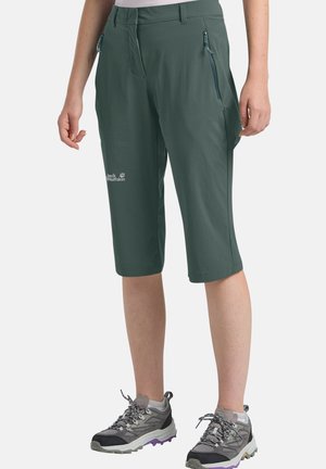 Donkergroene outdoor shorts tot op de knie met ritszakken, gedragen met grijze wandelschoenen bij een staande persoon.
