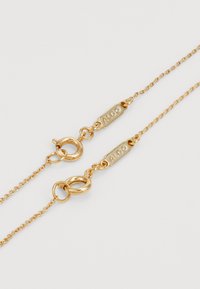 Halskette in goldfarbener Ausführung mit einer zarten Kette, runden Gliedern und zwei Verschlüssen mit eingraviertem "ALDO", die das metallische Finish und das Design betonen.