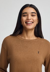 Brązowy sweter dziany z okrągłym dekoltem, prążkowanymi ściągaczami przy rękawach oraz małym haftowanym logo na piersi. Gładka tekstura, swobodny krój.