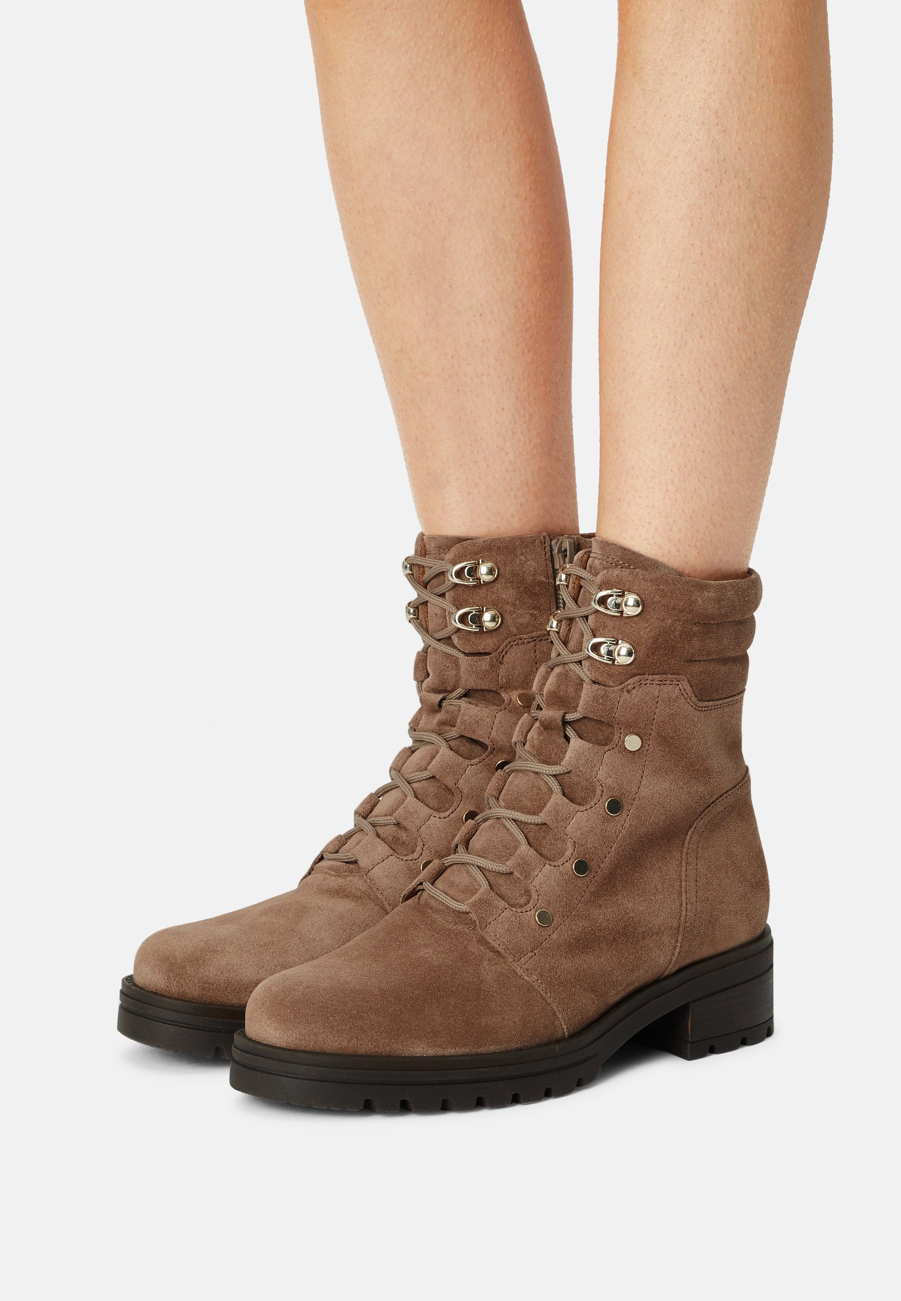 Gabor Comfort Veterboots - muskat/gold/Lichtbruin - Zalando.nl