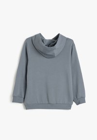 Felpa grigia chiara con un ampio cappuccio, maniche lunghe, polsini e orlo a coste. Tessuto morbido senza motivi o decorazioni visibili.