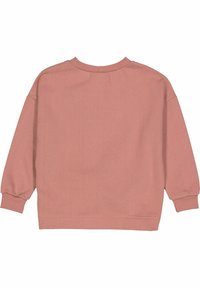 Felpa rosa chiaro con scollo a girocollo, maniche lunghe e polsini a costine. Tessuto morbido, senza motivi o decorazioni visibili.