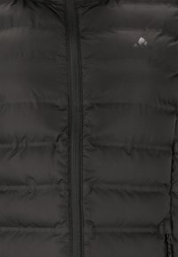 Schwarze Daunenjacke mit Reißverschluss auf der Vorderseite, mit gesteppten Abschnitten und einem dezenten Logo auf der Brust, aus leichtem, glattem Material gefertigt.