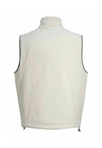 Lichtgrijze mouwloze vest met hoge kraag, zichtbare naden en verstelbare trekkoorden aan de zoom, achterkant zichtbaar op een witte achtergrond.