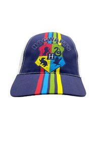 Czapka w kolorze granatowym z logo tarczy Hogwartu oraz kolorowymi symbolami domów. Posiada wielokolorowe paski w odcieniach czerwieni, żółci, zieleni, niebieskiego oraz jasnoszare akcenty.