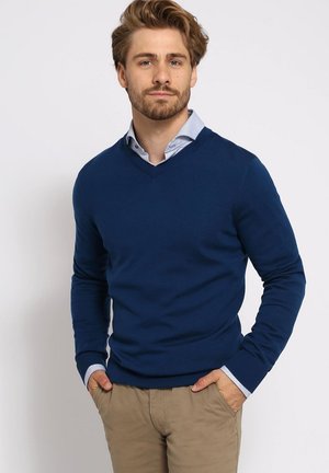 Man met baard die een blauwe V-hals trui draagt over een lichtblauw overhemd met kraag en beige broek, staand met handen in de zakken tegen een witte achtergrond.
