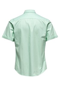 Maglietta mint green a maniche corte con colletto classico, mostrata da dietro su uno sfondo bianco.