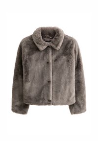 New Look Winter jacket - mink