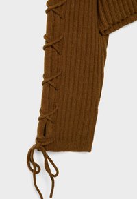 Brązowy sweter z żeberkowanymi rękawami, ozdobiony sznurowanym detalem i dwoma wiązanymi końcami. Miękka tekstura oraz dopasowany krój, który prezentuje się komfortowo.