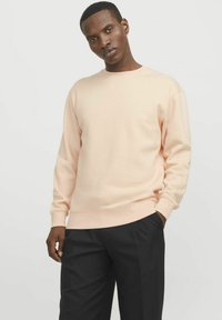 Lichtroze sweatshirt van zachte stof met een ronde halslijn en geribde mouwen, gecombineerd met donkere broek, staande tegen een neutrale achtergrond.