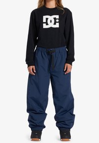 DC Shoes Snowboardbyxor - purple