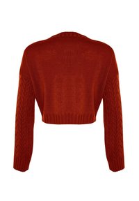 Pull court orange rouille avec manches longues en maille torsadée et ourlet et poignets côtelés, présenté de dos sur un fond blanc.