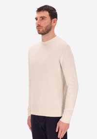Maglione lavorato a maglia beige con scollo a girocollo e maniche lunghe, con polsini e orlo a costine, mostrato su un modello in una prospettiva laterale.